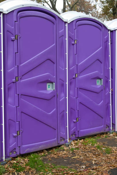 Best Portable Toilet Rental for Emergency Services in Panthersville, GA